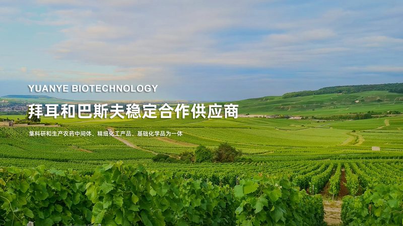 PCR检测定制，价格与价值的平衡之道