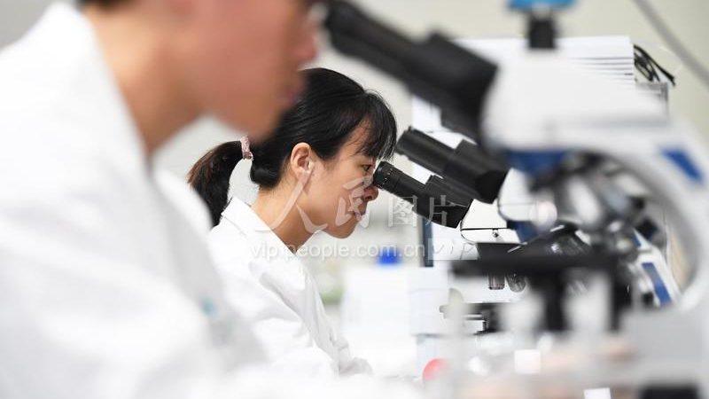 细胞工厂与生物反应器：揭秘两者之间的关键差异