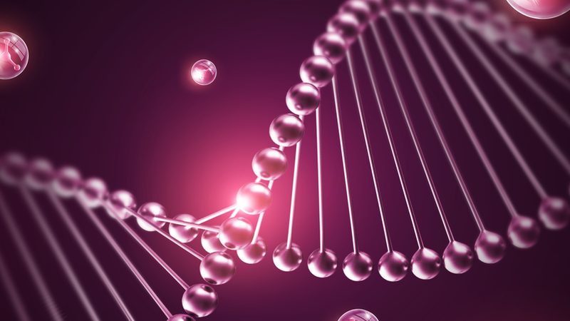 生物科技公司定制服务：揭秘高效研发的五大步骤**