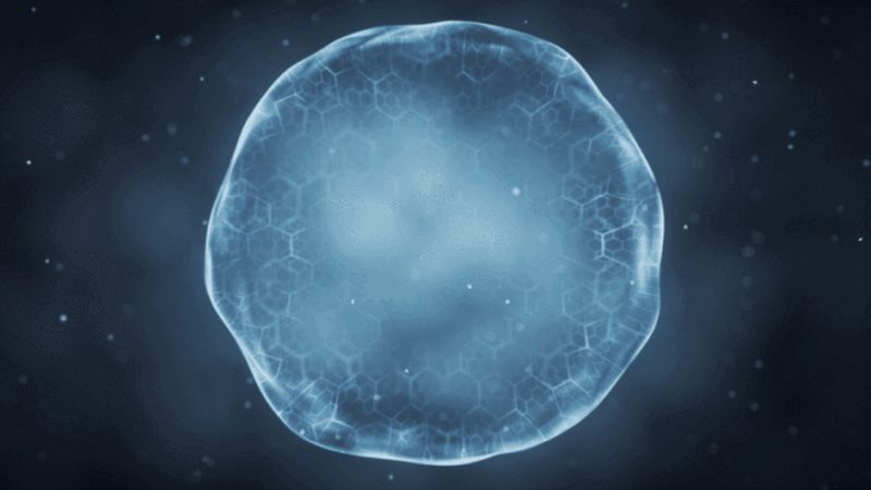 上海生物制品采购价格查询系统：揭秘其背后的价值与挑战**
