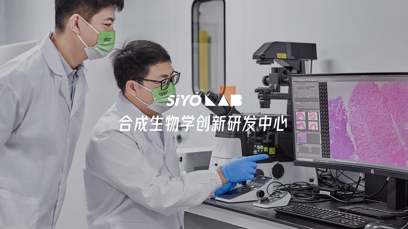 重组抗体：揭秘上海生产服务的关键要素**