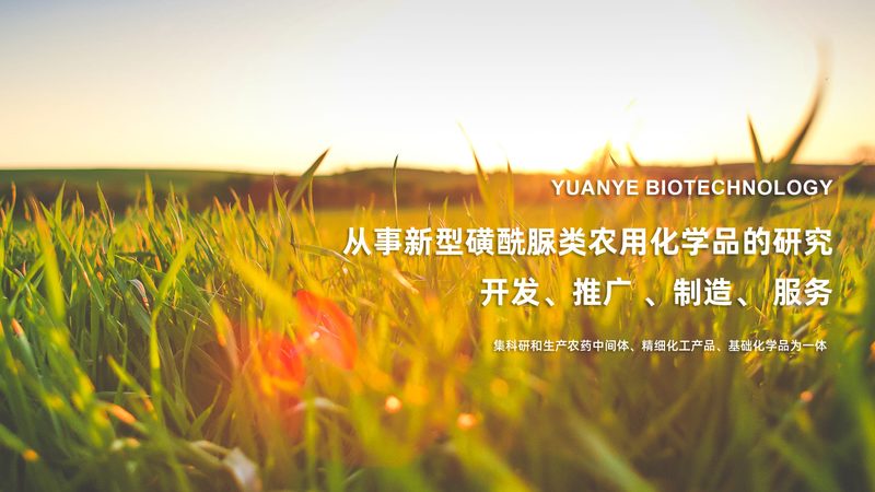 CRS优化误区：揭秘用户体验提升的常见陷阱