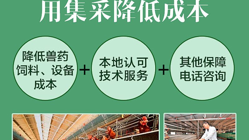 引物合成速度，揭秘影响合成效率的关键因素