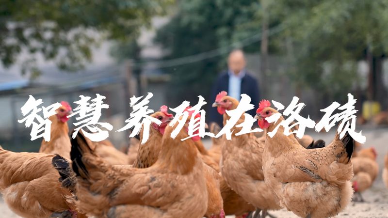 生物医药原料药外包定制：价格背后的考量因素**