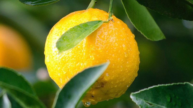 细胞培养实验室设备：揭秘批发价格的背后**